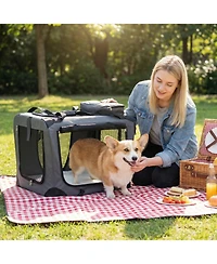 Ruie Collapsible Soft Dog Travel Crate with Mesh Windows and 3 Doors