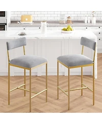 homfan Set of 2 Velvet Counter Height Bar Stools with Backrest and Footrest