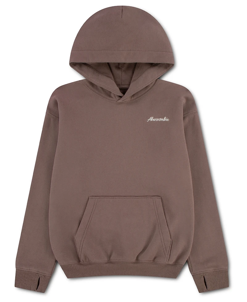 abercrombie kids Boys' 5-18 Saddle Up Hoodie