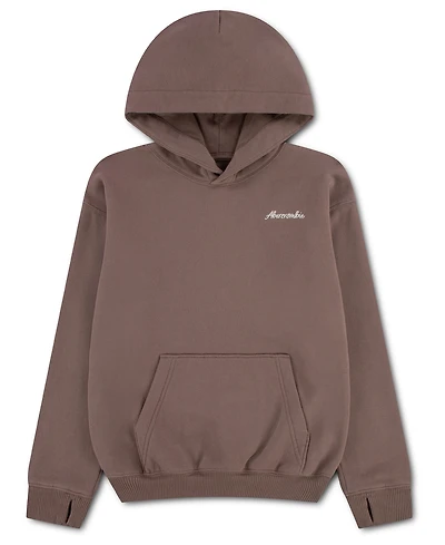 abercrombie kids Boys' 5-18 Saddle Up Hoodie