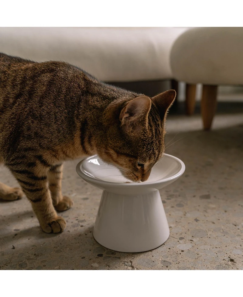 Dexypaws Flat Top Cat Bowl