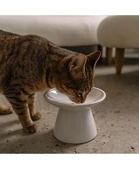 Dexypaws Flat Top Cat Bowl