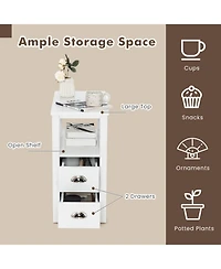 Sugift 2-Piece Wooden Bedside Nightstand Set with 2 Drawers