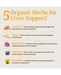 BioSchwartz Liver Support Supplement with Turmeric, Ginger, Milk Thistle, Artichoke and Dandelion, Citrus Flavor, 16 fl oz (3-Pack)