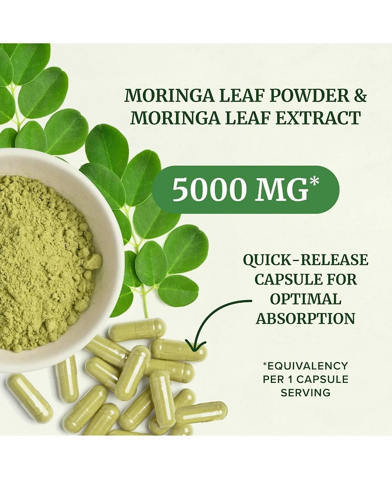 Nobi Nutrition Moringa Capsules, 60 Count