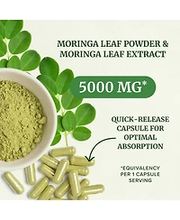 Nobi Nutrition Moringa Capsules, 60 Count
