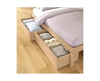 Grain & Grove Bear Furniture Plywood Twin/Full Bunk with Underbed Storage Drawers