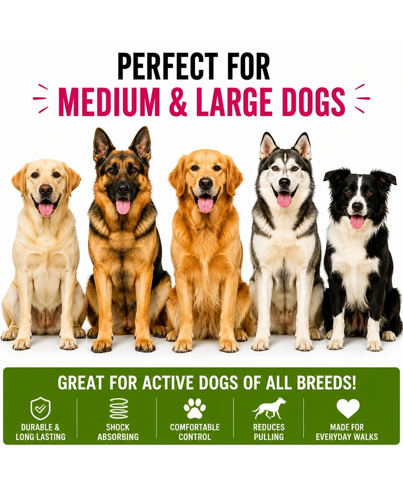 ProMounts 2-Pack Shock Absorbing Bungee Dog Leash Set - Heavy Duty Foam Handle, Elastic Leashes with Metal Swivel Clip, Pink and Green Included