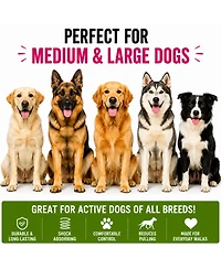 ProMounts 2-Pack Shock Absorbing Bungee Dog Leash Set - Heavy Duty Foam Handle, Elastic Leashes with Metal Swivel Clip, Pink and Green Included