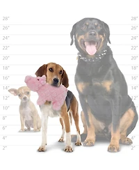 Mighty Farm Piglet 2 Pack, Durable Plush Squeaky Dog Toy