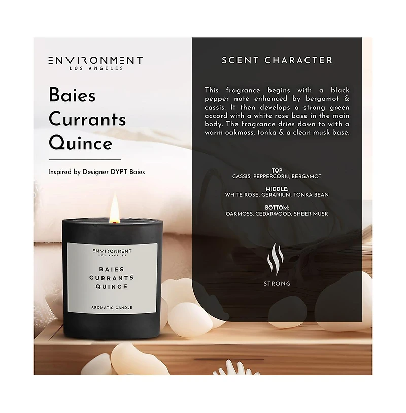 Environment 8oz Candle Inspired by Diptyque Baies