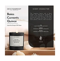 Environment 8oz Candle Inspired by Diptyque Baies