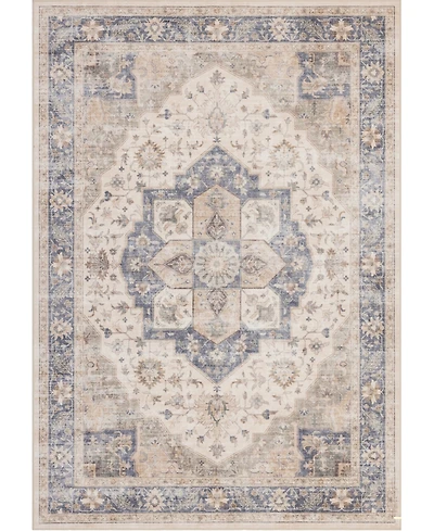 Mink Home Homewell Machine Washable HAM4005 9'10"x13'11" Area Rug