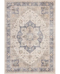 Mink Home Homewell Machine Washable HAM4005 9'10"x13'11" Area Rug
