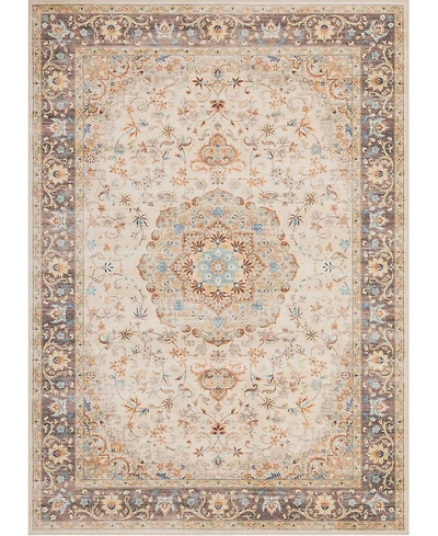 Mink Home Homewell Machine Washable HAM4002 7'10"x9'10" Area Rug