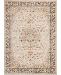 Mink Home Homewell Machine Washable HAM4002 9'10"x13'11" Area Rug