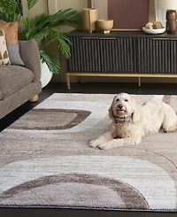 Safavieh 94" x 9" x 9" 8'x10' Area Rug
