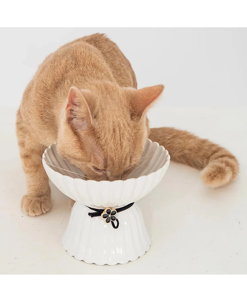 Dexypaws Elevated Cat Bowl