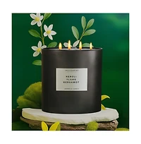 Environment 55oz Candle Inspired by Chanel Chanel 5 - Neroli | Ylang | Bergamot