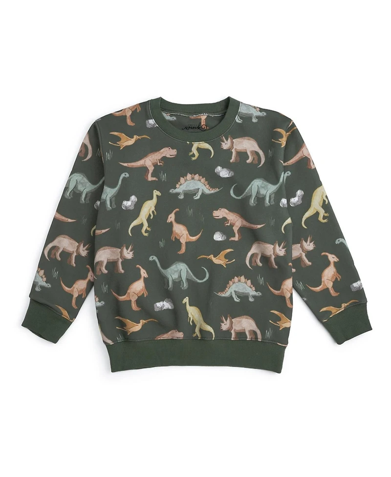 Sweet Wink Little Boys Dinosaurs Rock Sweatshirt