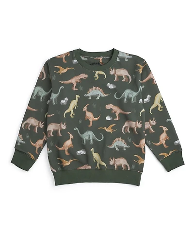Sweet Wink Little Boys Dinosaurs Rock Sweatshirt