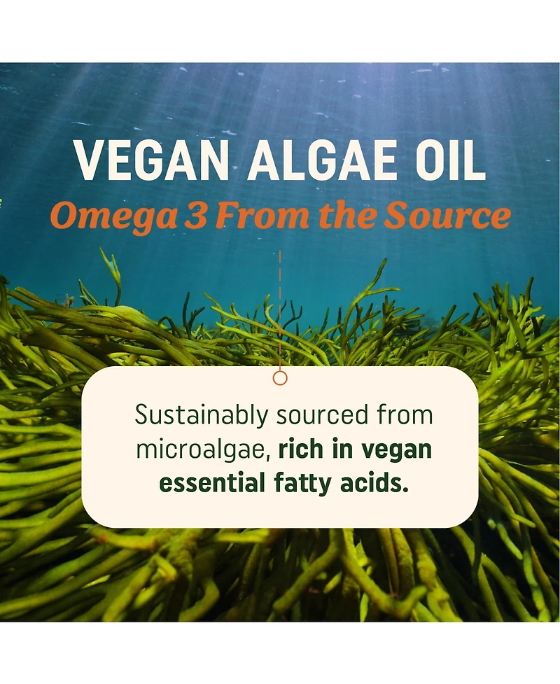 Mav Nutrition Algae Oil Softgels, 120 Count