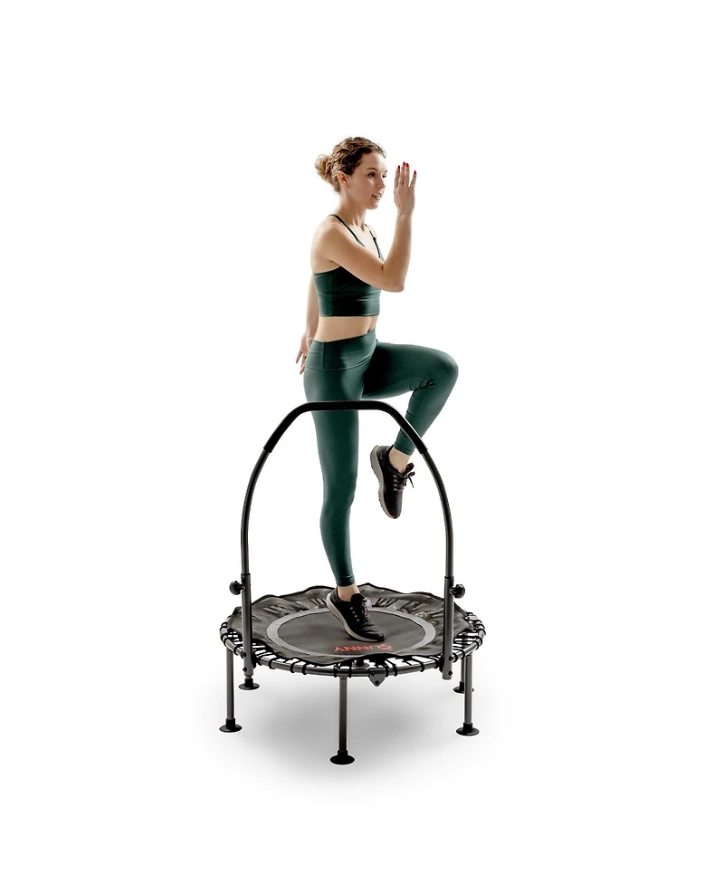 Sunny Health and Fitness Active Fitness Trampoline with Adjustable Handlebar