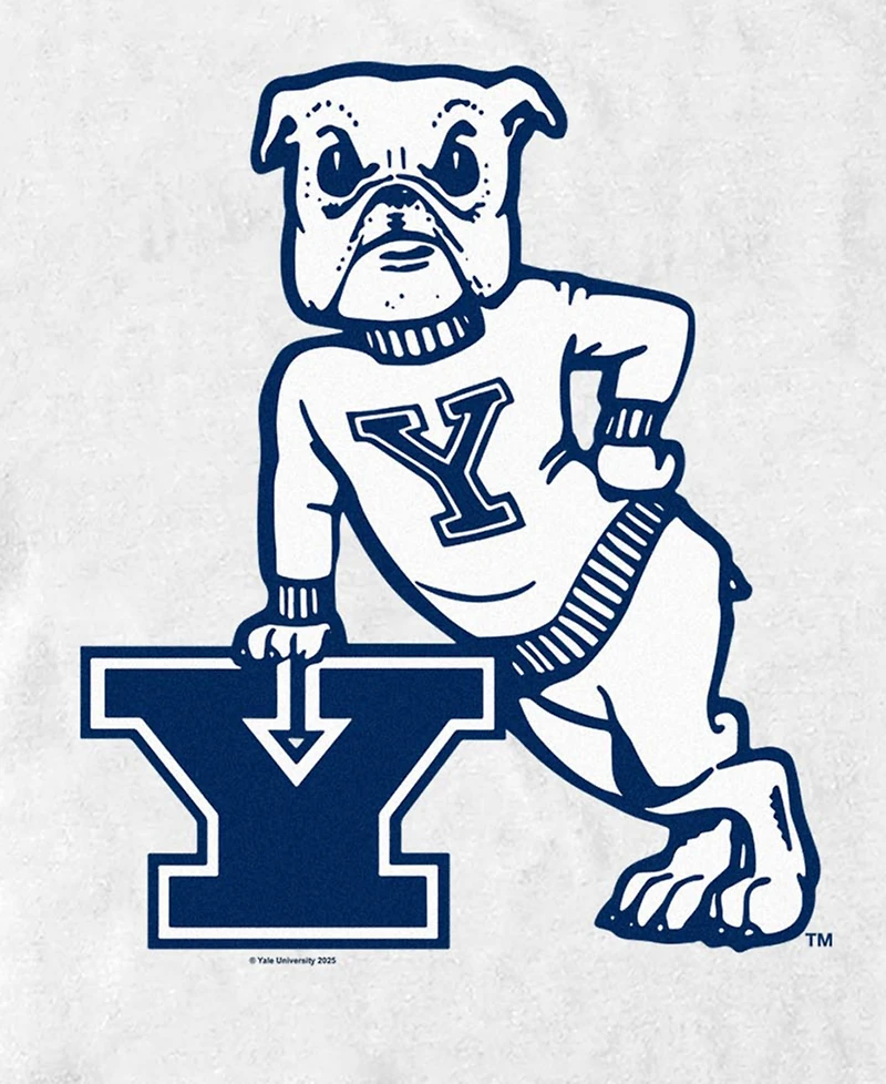 Fifth Sun Men's Bulldogs Y Graphic T-Shirt