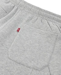 Levi's Boys' 4-7X Baggy-Fit Carpenter Sweatpants