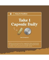 Nature's Craft Lion's Mane Complex Capsules, Brain Booster Nootropic Supplement with Chaga Maitake Shiitake and Reishi, 60 Count