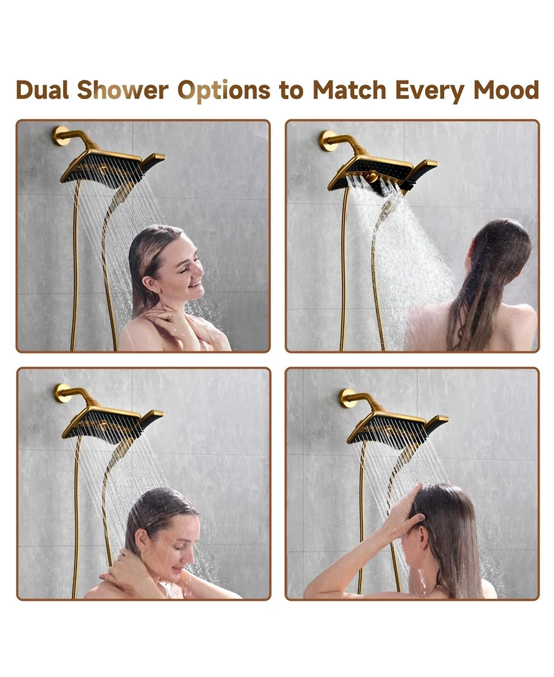Cyqbd 2.5 Gallon Dual Shower Head Handheld High Rainfall Hose Brushed
