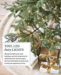 Balsam Hill 6.5 ft Pre-Lit Alpine Balsam Fir Tree