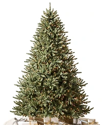 Balsam Hill 7.5 ft Pre-Lit Classic Spruce Tree
