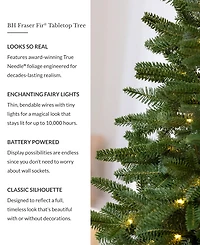 Balsam Hill 2.5 ft Fraser Fir Pre-Lit Tabletop Tree