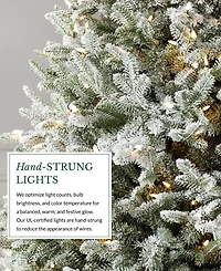 Balsam Hill Frosted Balsam Fir 6.5' Tree