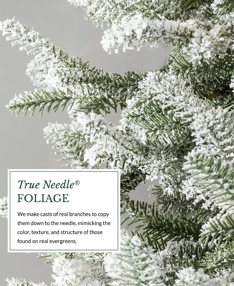Balsam Hill Frosted Fir 9' Tree