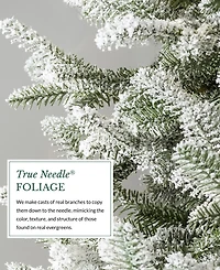 Balsam Hill Frosted Fir 9' Tree