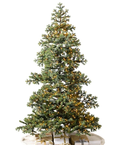 Balsam Hill Yukon Spruce 9' Tree