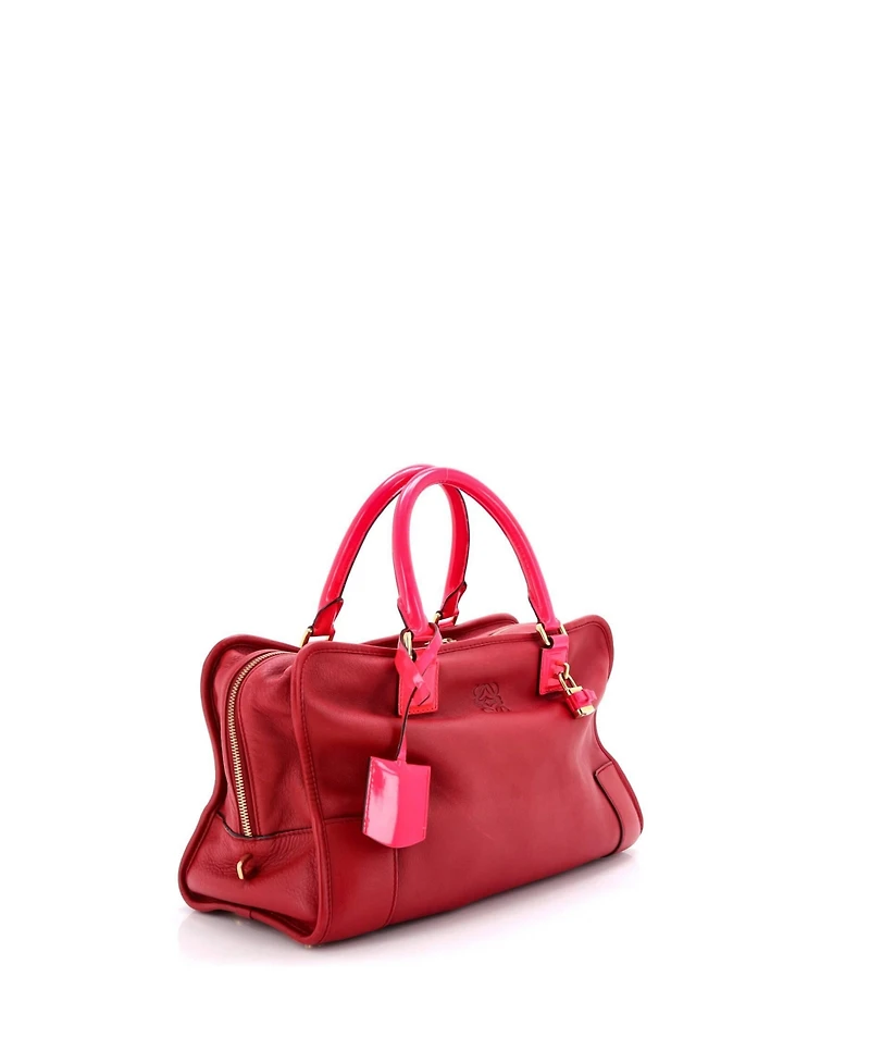 Pre-Owned Loewe 36 Amazona Bag Leather