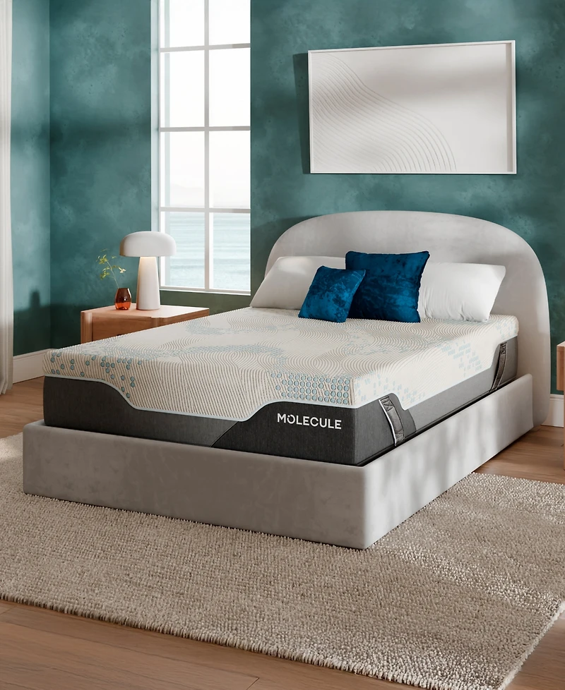 Molecule Reflex Elite 14" Plush Memory Foam Tight Top Mattress in a Box