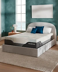 Molecule Reflex Elite 14" Plush Memory Foam Tight Top Mattress in a Box
