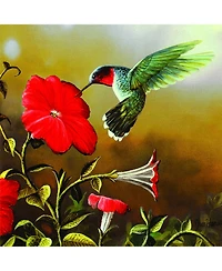 SunsOut Ruby Throat 500-Piece Interlocking Bird Jigsaw Puzzle, Ages 15+