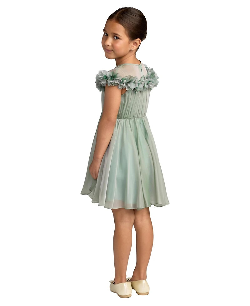 Mac Duggal Big Girls Floral Applique Chiffon A-Line Dress