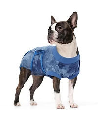 Soft Cotton Recovery Bodysuit for Dogs, Post-Surgery Protective Suit with Anti-Lick Design