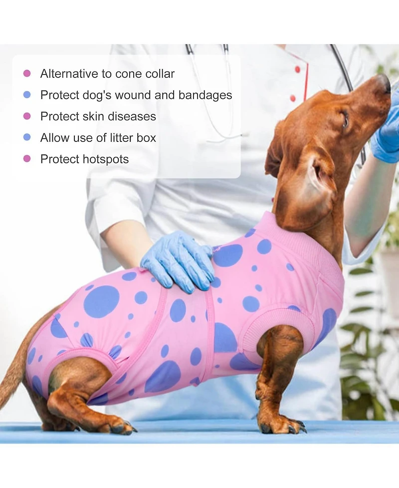 Soft Stretch Recovery Suit for Dogs, Post-Op Surgical Protective Bodysuit, E-Collar Alternative