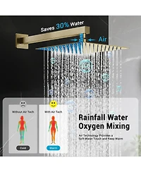 Cyqbd 10" 2-in-1 Rain Shower Faucet Set Wall Mount 304 Ss Air Tech Dual Spray