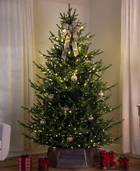 Northlight Real Touch Elite Pre-Lit Glenmora Pine 7' Artificial Christmas Tree