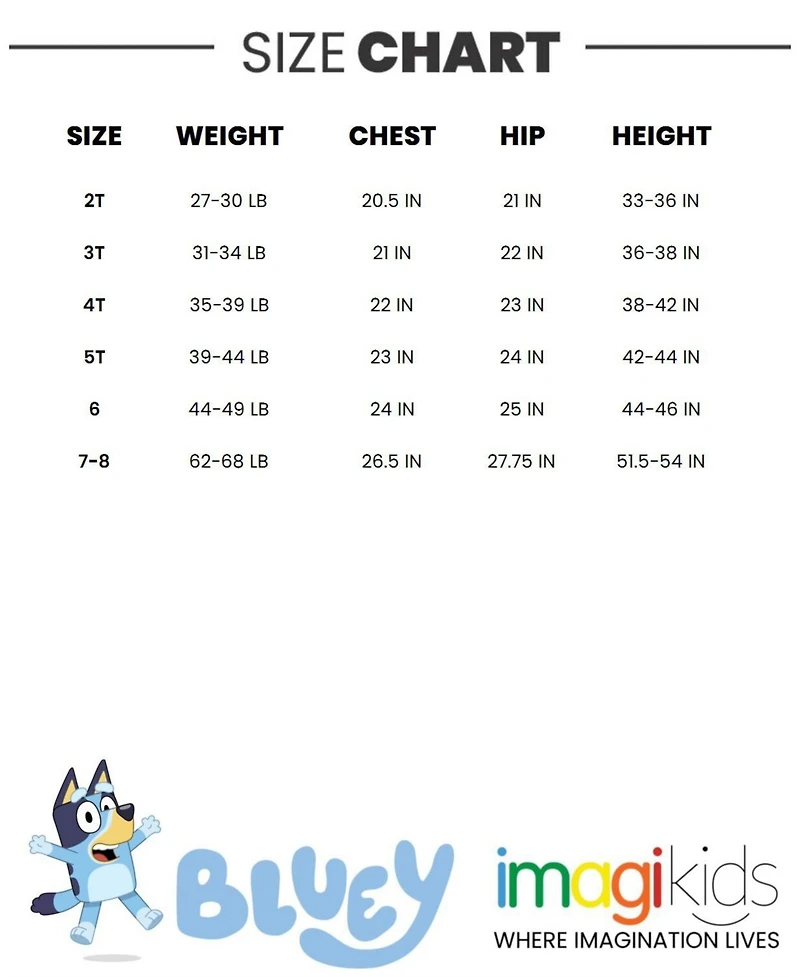 Bluey Boys Fleece Pullover Hoodie and Pants Outfit Set
