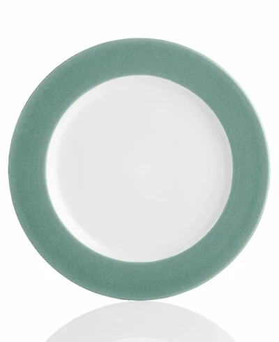 Noritake Colorwave Rim Dinner Plates