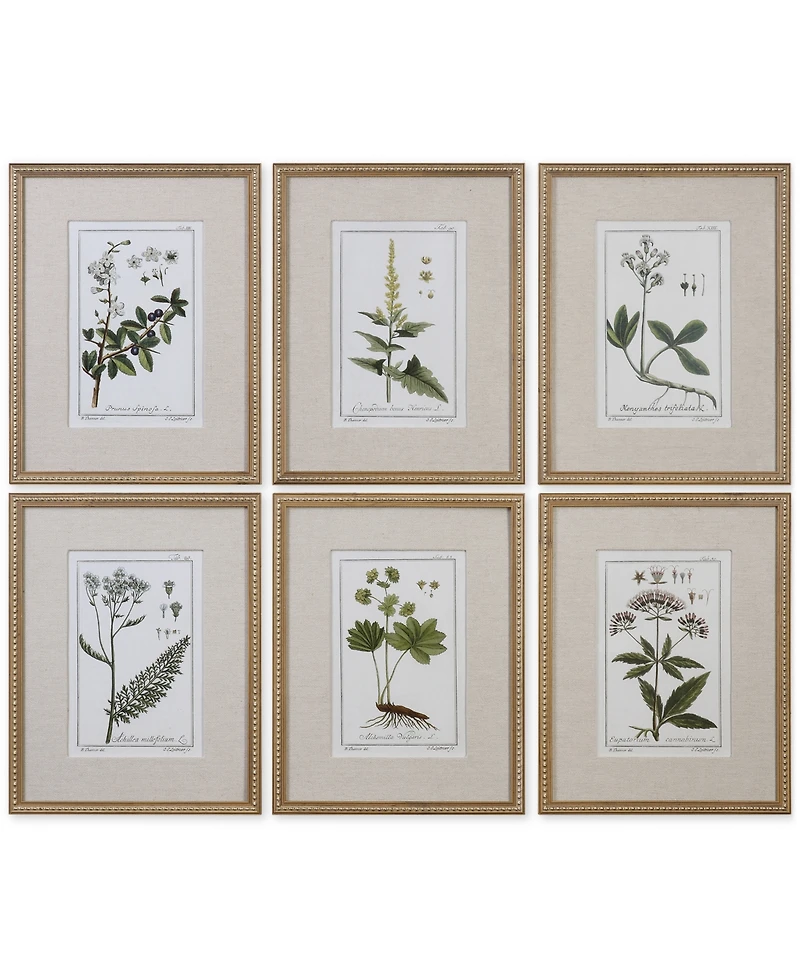 Uttermost Green Floral Botanical Study Wall Art, Set of 6